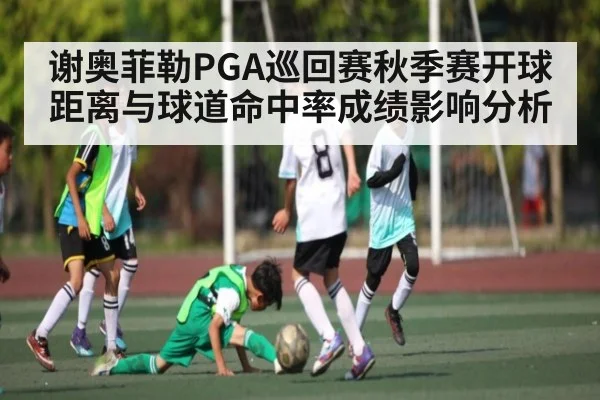 谢奥菲勒PGA巡回赛秋季赛开球距离与球道命中率成绩影响分析